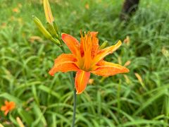 -狼山风景名胜区