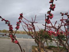 -廊坊文化艺术中心