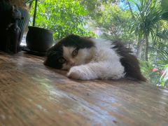 -花到家(富贵鸟花艺行)