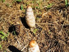 -北京张裕爱斐堡酒庄