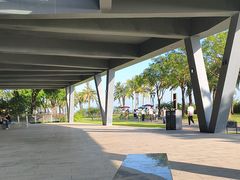 -野狸岛
