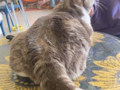 -平行世界·猫咖(首经贸店)