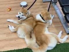 -YCHL Studios健身工作室(市二宫店)