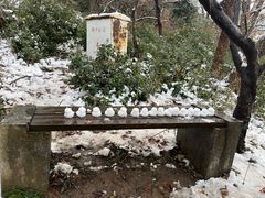 -紫金山山顶公园