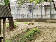 -石家庄市动物园