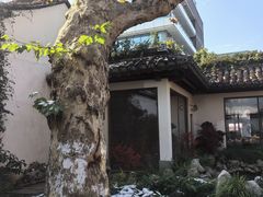 -鲤院·新中式美学·庭院餐厅(夫子庙店)