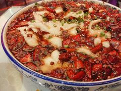 -陈麻婆豆腐总店