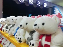 -海合安武汉极地海洋公园