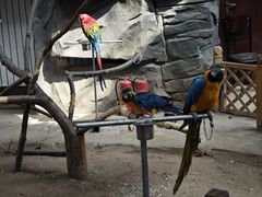 -鄂尔多斯野生动物园