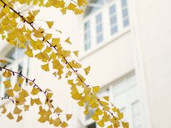 -四川大学(华西校区)