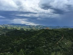 -磬锤峰森林公园