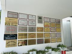 -中国宣纸文化园