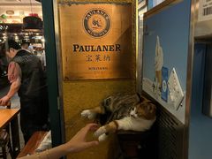 -宝莱纳餐厅(滨江店)