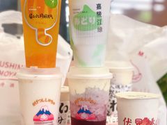 -伏小桃(明瓦廊店)