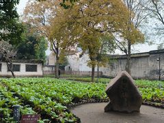 -绍兴鲁迅故里·沈园景区