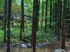-山王坪喀斯特国家生态公园