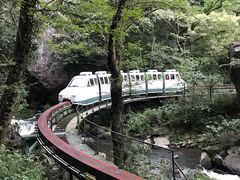 -溪口-滕头旅游景区