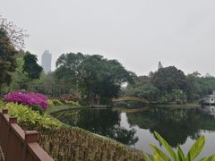 -晓港公园