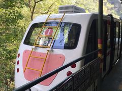 -溪口-滕头旅游景区