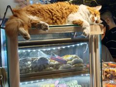 -大麒麟阁(扬州东关街店)