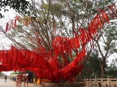 -西双版纳勐泐文化旅游区