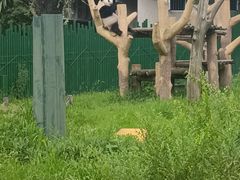 -沈阳森林动物园