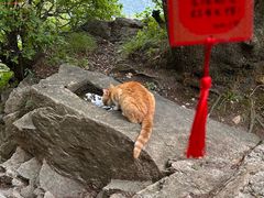 -终南山南五台景区