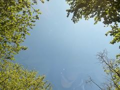 -《神游传奇》秀