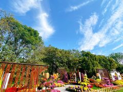 -上海共青森林公园