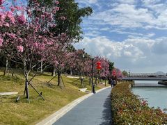 -深圳湾公园(南山区)