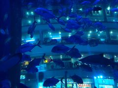 -成都浩海立方海洋公园