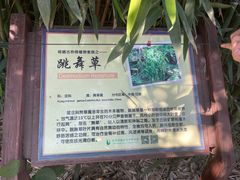 -呀路古热带植物园