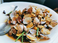 辣炒小蛤蜊-船歌·鱼水饺青岛菜(黄岛珠江路店)