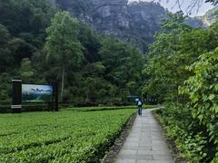-十九峰景区