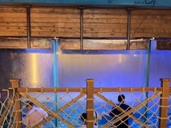 -海合安青岛极地海洋公园