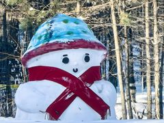 -北极村旅游风景区