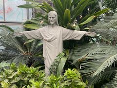 -南宫五洲植物乐园