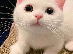 -COMMUNE幻师(上邦百汇城店)