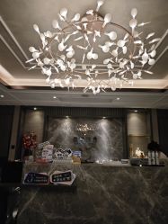 -香榭丽舍·海菲秀·皮肤管理痘敏肌修护
