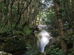 -牛背梁国家森林公园
