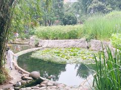 -成都市活水公园
