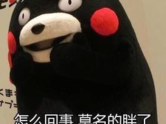 -半饱日式甜品(ifs国际金融店)
