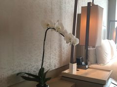 -北京康莱德酒店