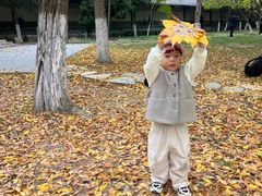 -辛玛王国游乐园