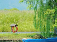 -良渚古城遗址公园