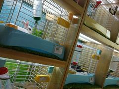 -宠物兔专门店(天丰利市场店)