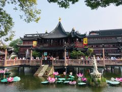 -豫园湖心亭茶楼