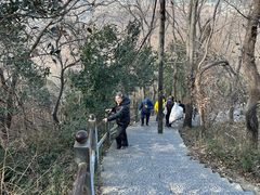 -紫金山山顶公园