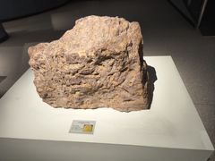 -辽宁古生物博物馆