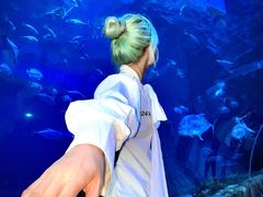 -华夏文旅西安度假区